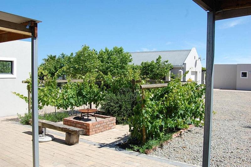 Longacre Olive & Vineyard Estate Guest House ลางเงอบาน ภายนอก รูปภาพ